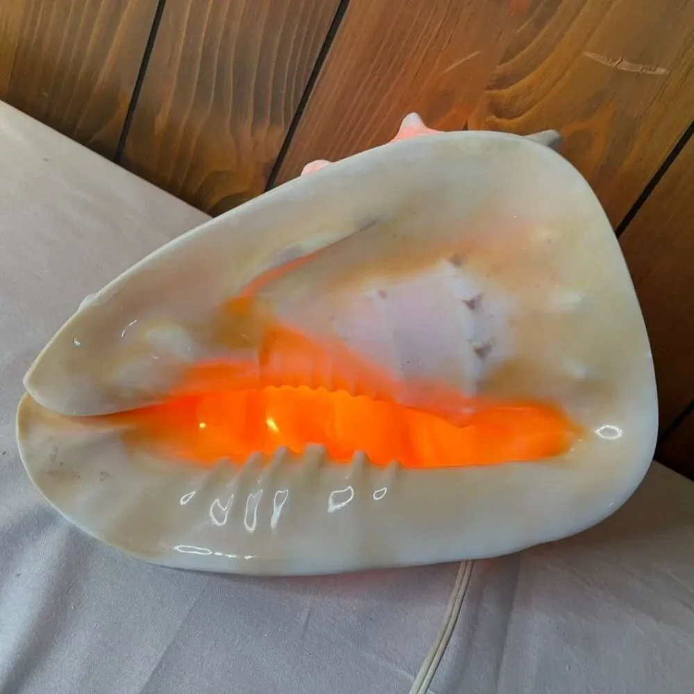 Queen conch shell lamp